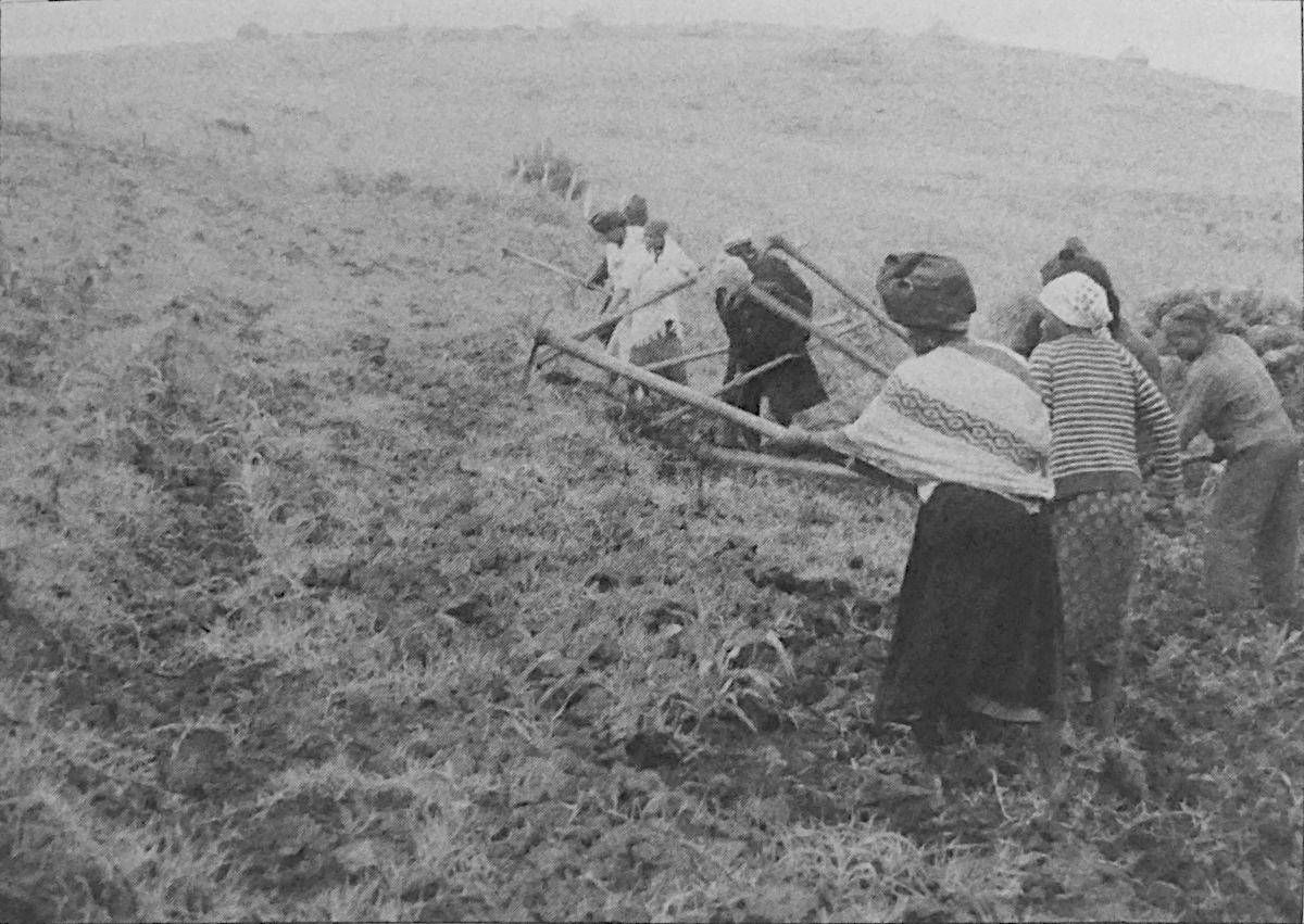 Une équipe féminine de travail sur le terrain. 1980